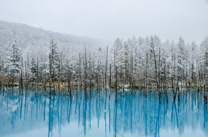 Shirogane Blue Pond in Winter Time