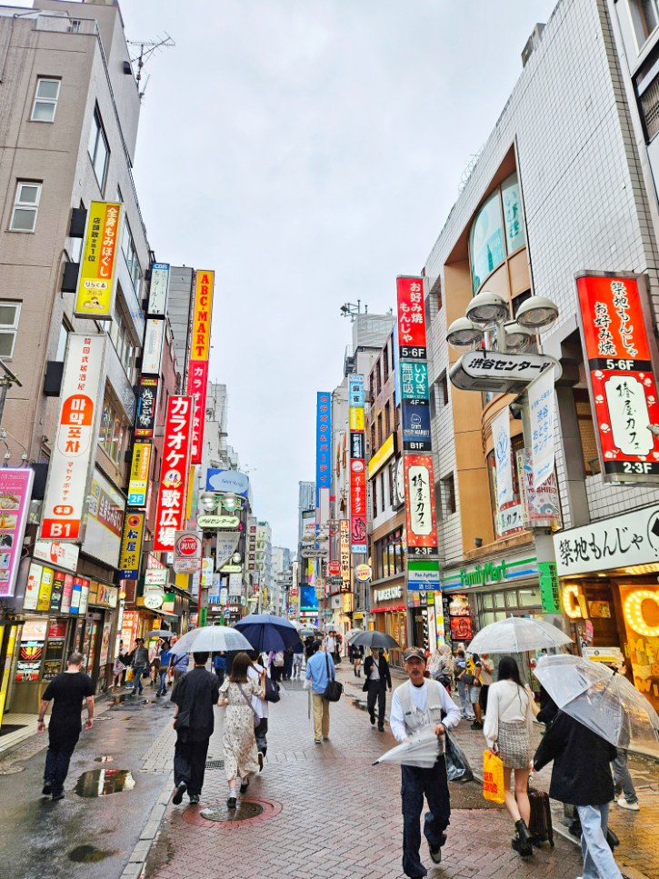 Rain in Tokyo