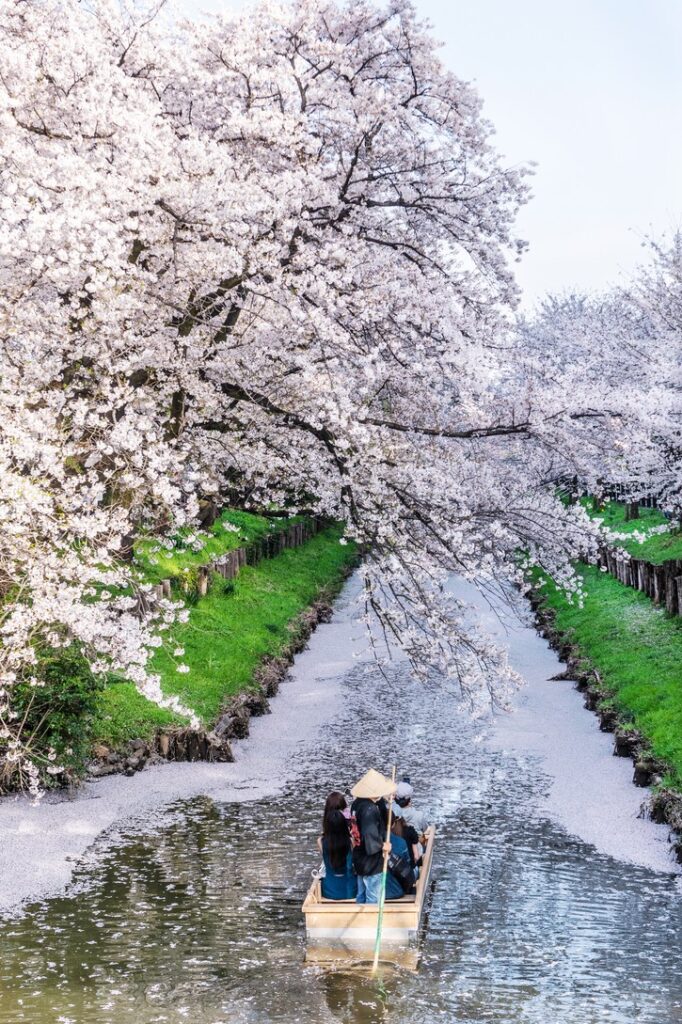 Shingashi River