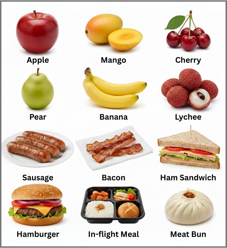 List of Item Not Allowed to Bring into Japan