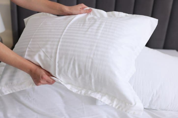 Check Pillow