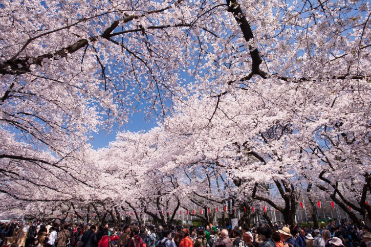 Ueno Park