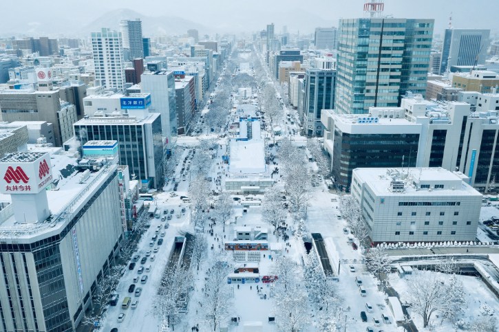 View from Sapporo TV Tower
