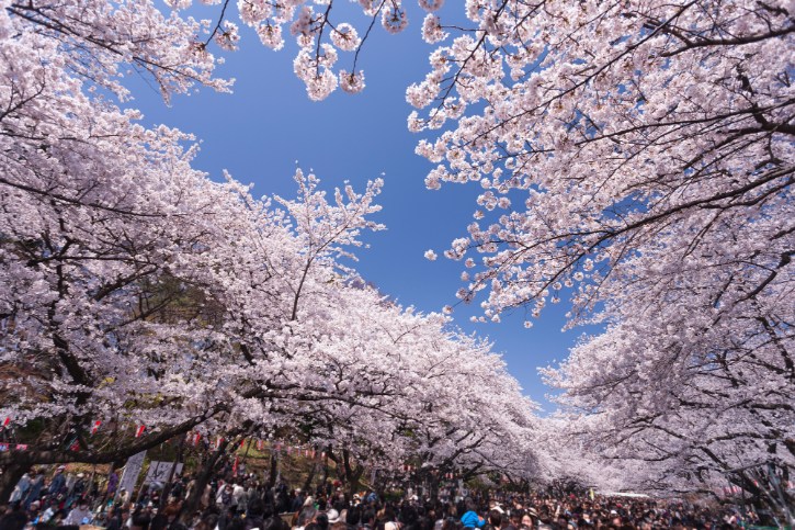 Ueno Park