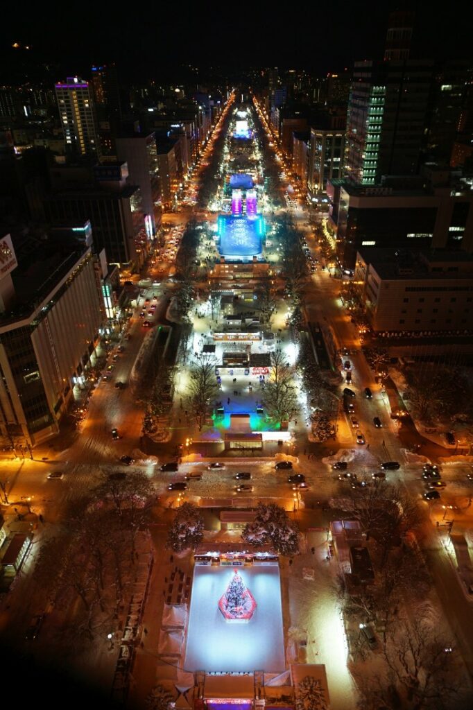 Winter Season at Odori Park