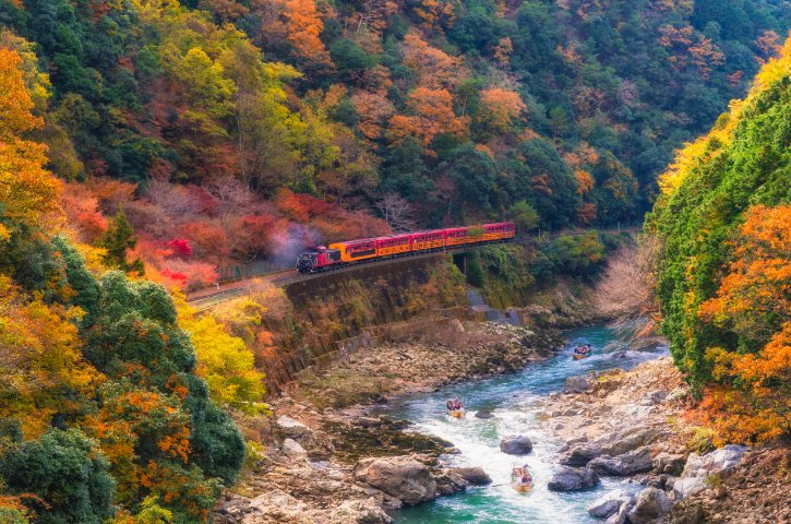 Autumn Foliage in Kyoto