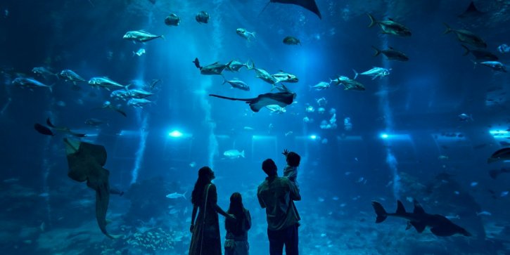 Singapore Oceanarium
