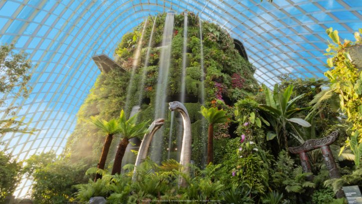 Cloud Forest