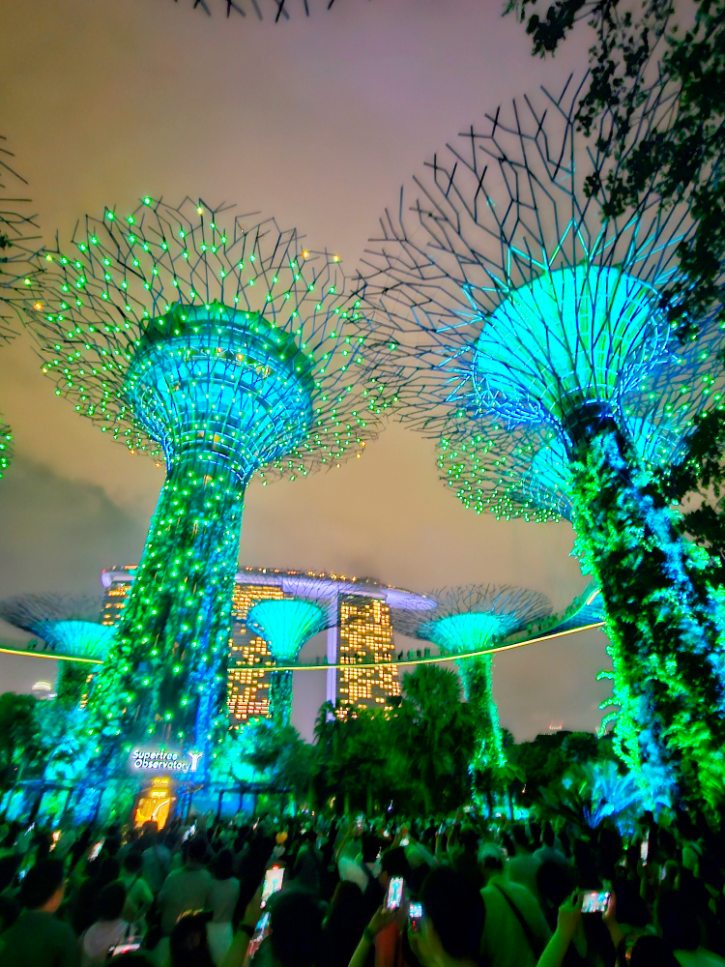 Garden Rhapsody Light Show