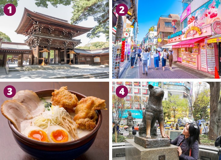 Meiji Shrine, Takeshita Street, Oreryū Shio Ramen and Hachiko Statue