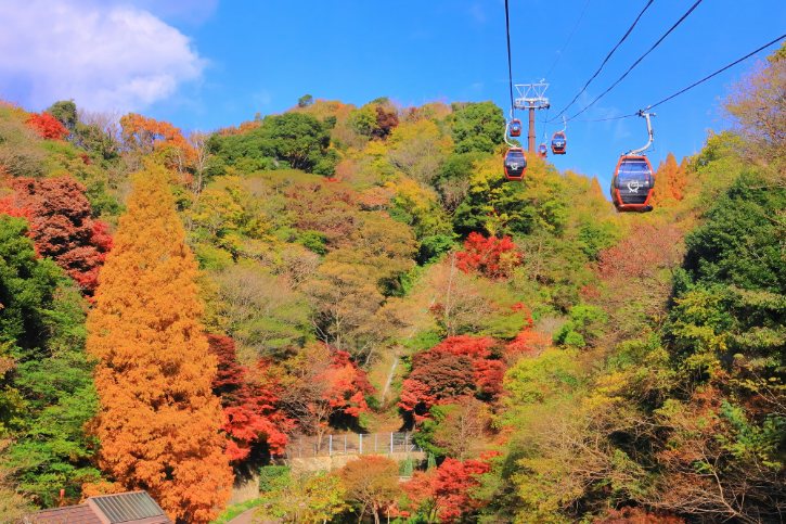Ropeway to Nunobiki Herb Gardens