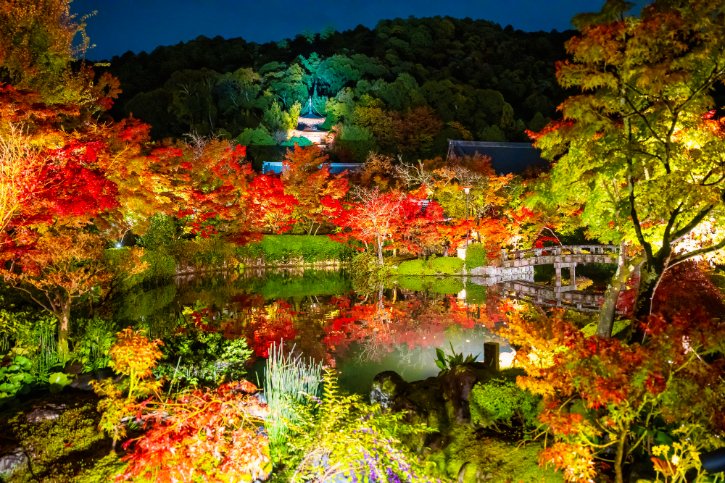 Autumn Foliage in Kyoto