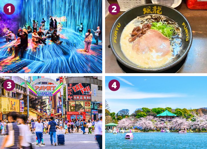 teamLab Borderless, Hakata Furyu Ueno, Ameya Yokocho and Ueno Park