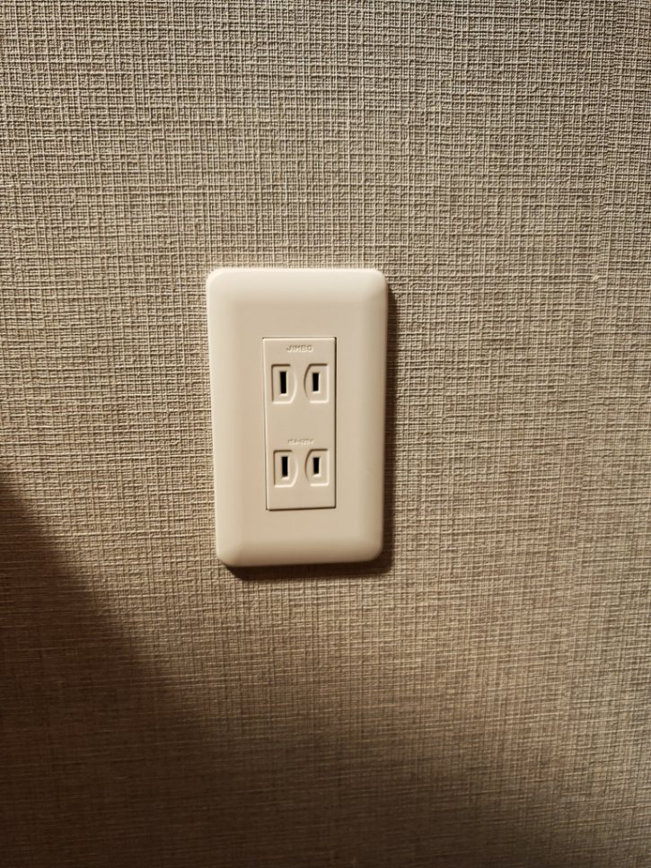 Type A Plugs in Japan