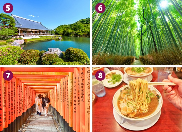 Tenryuji Temple, Arashiyama Bamboo Forest, Fushimi Inari Taisha and Honke Daiichi-Asahi