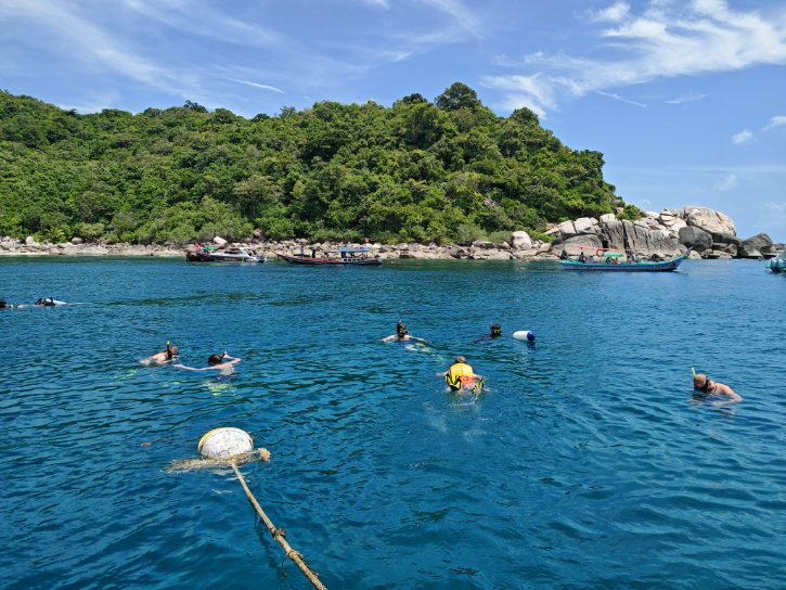 Snorkeling at Koh Tao