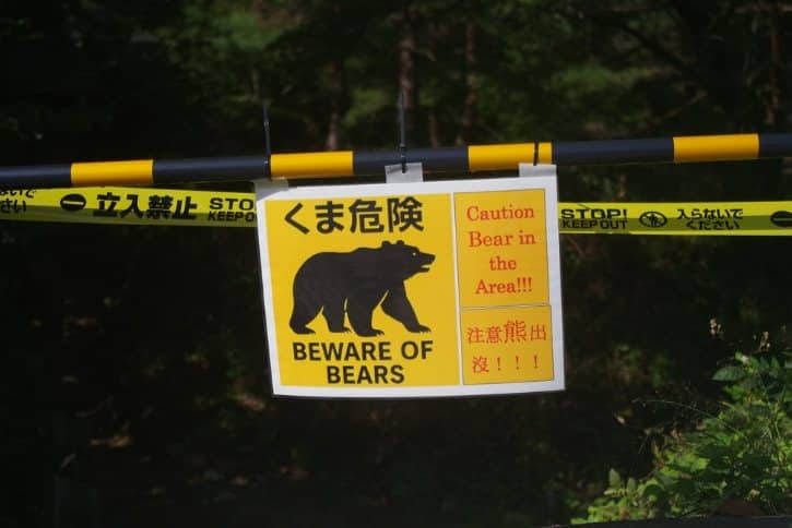 Bear Sign