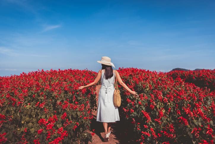 Flower Field at Mon Jam