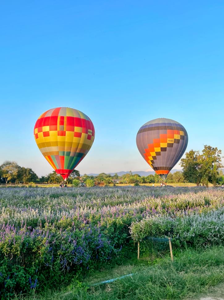 Hot Air Balloon at I Love Flower Farm