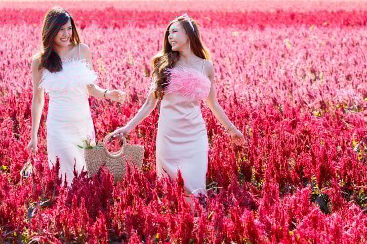 Beautiful Flower Field at I Love Flower Farm