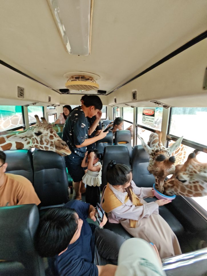 Safari Park Kanchanaburi