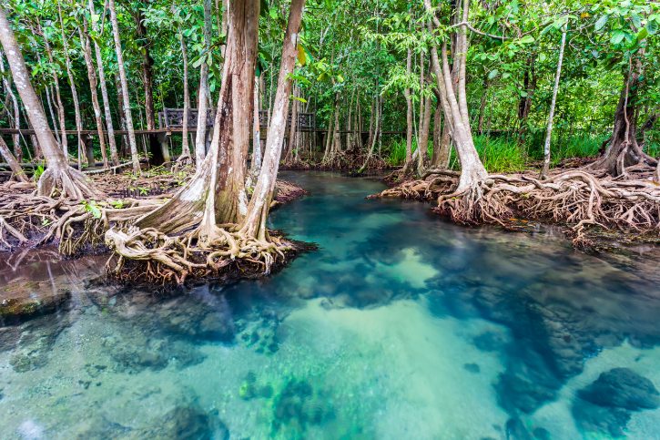 Thapom Klong Song Nam