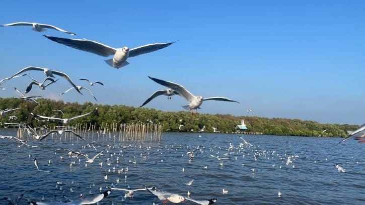 Bang Pu Recreation Center