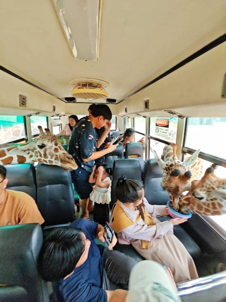 Safari Park Kanchanaburi