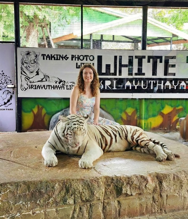 Sriayuthaya Lion Park