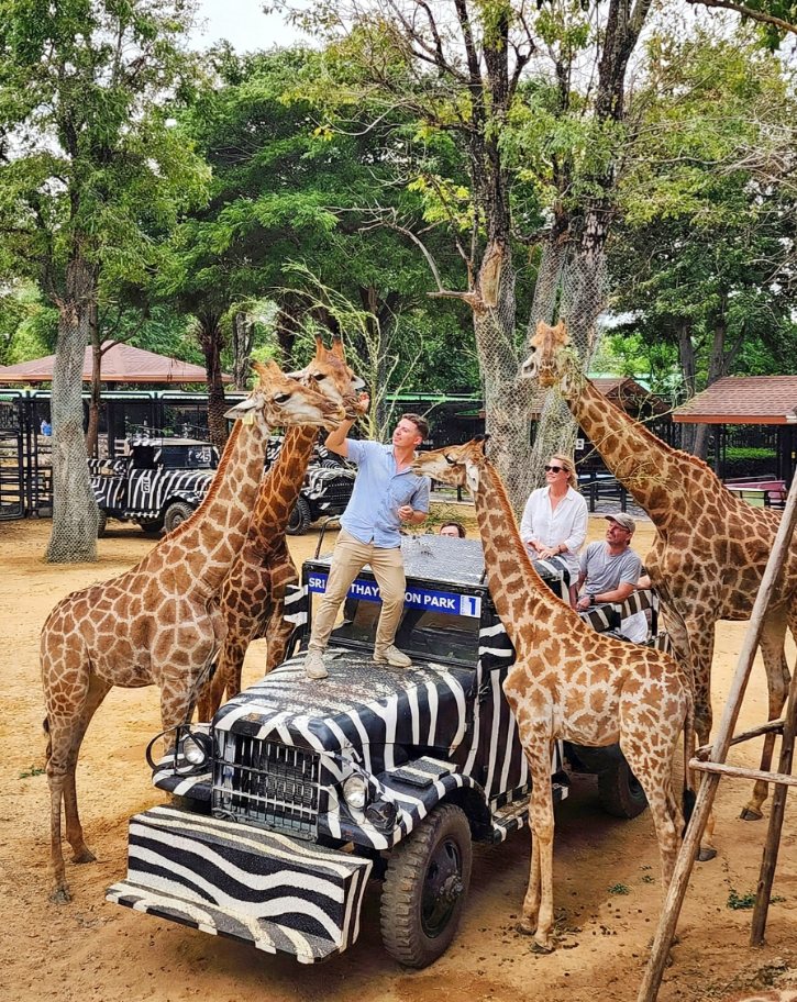 Sriayuthaya Lion Park