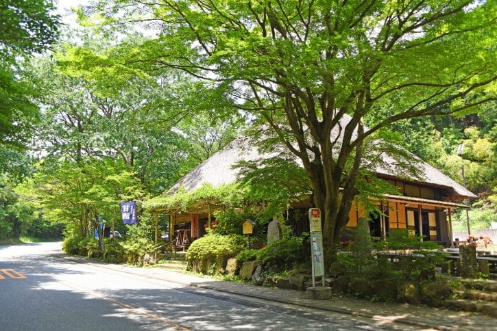 Hakone Amazake Tea House