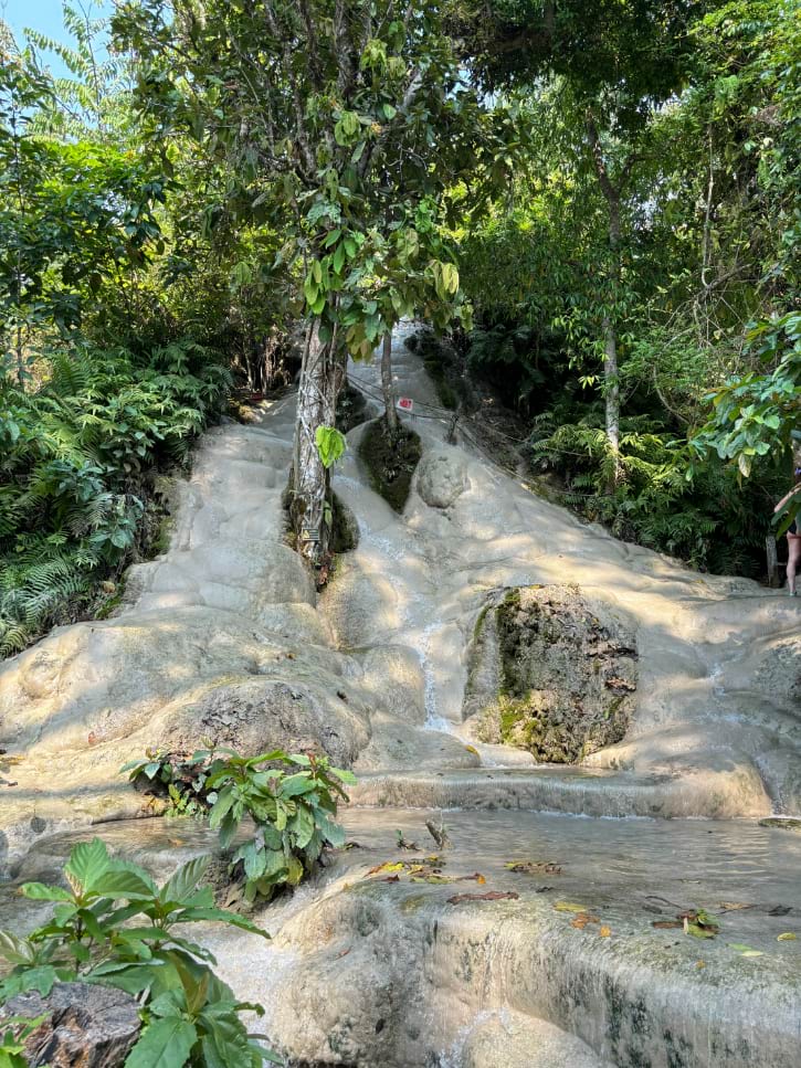Bua Tong Sticky Waterfall