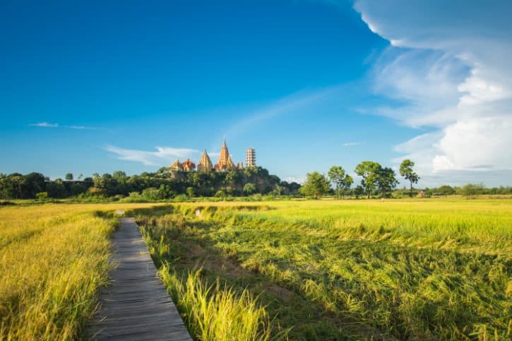 Kanchanaburi Green Rice Fields