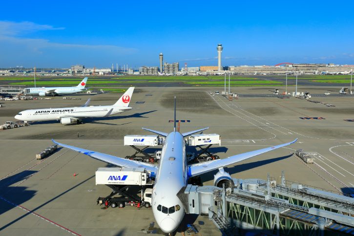 Japan Airlines and All Nippon Airways