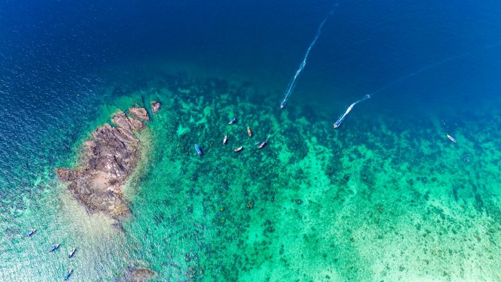 Aerial View Of Shark Point