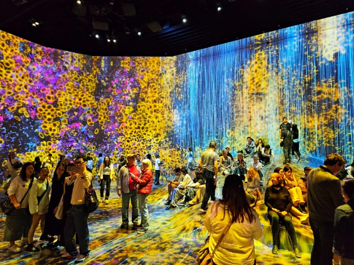 teamLab Borderless