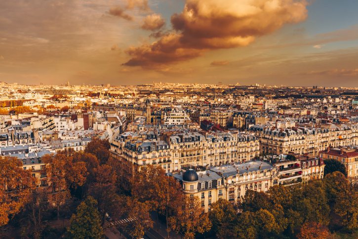 Late Autumn View Over Paris
