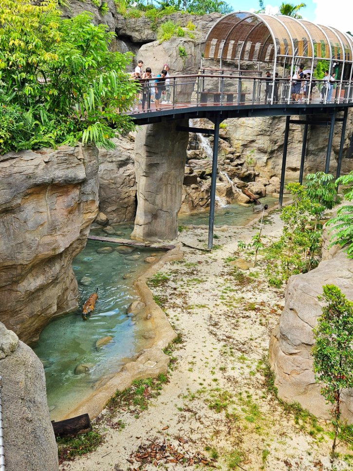 Rainforest Wild Adventure