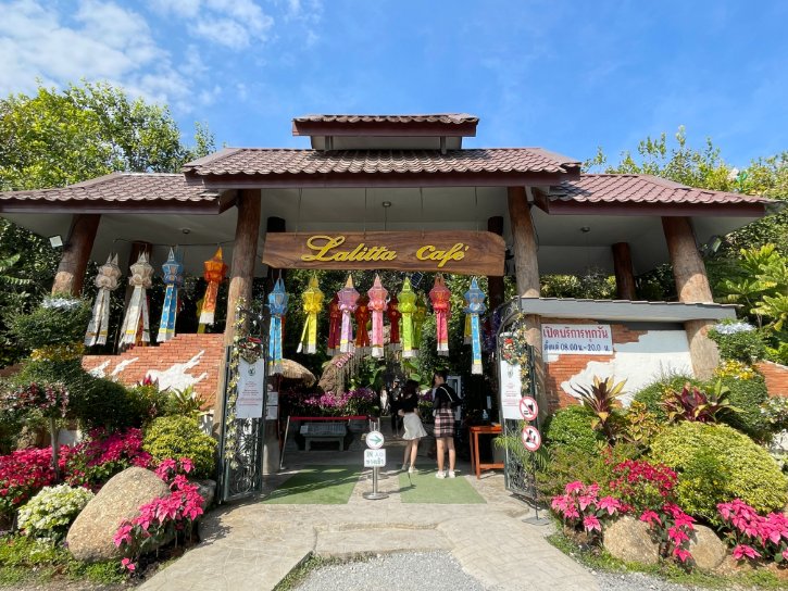 Entrance to LaLitta Cafe with a wooden sign, colorful hanging lanterns, and lush tropical plants on both sides.