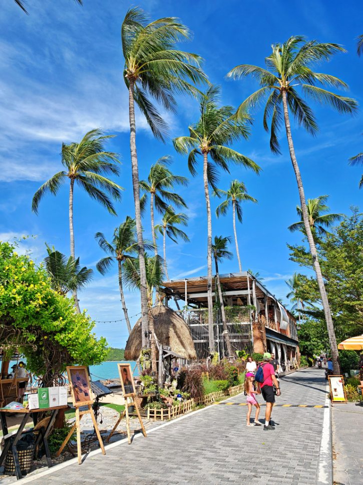 Bophut Beach Palm Lined Promenade
