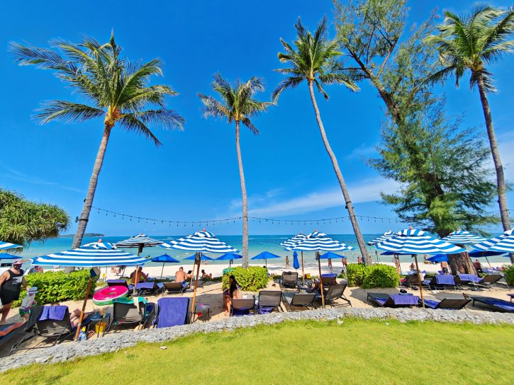 Chaweng Beach Tropical Palm View