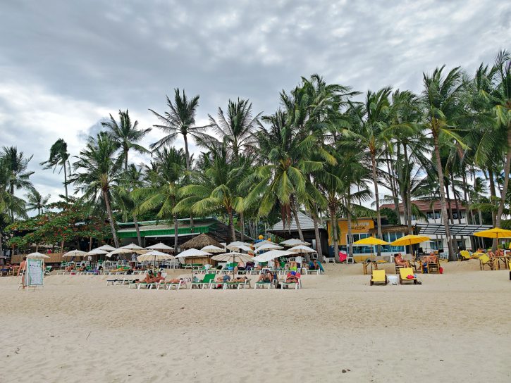 Lamai Beach Palm Lined Shore