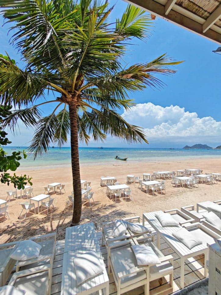 Sunny Beachfront With Palm Tree
