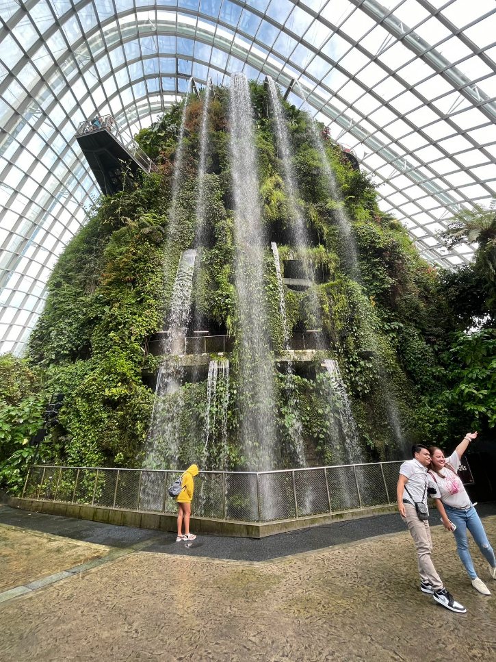 Cloud Forest Waterfall Gardens By The Bay