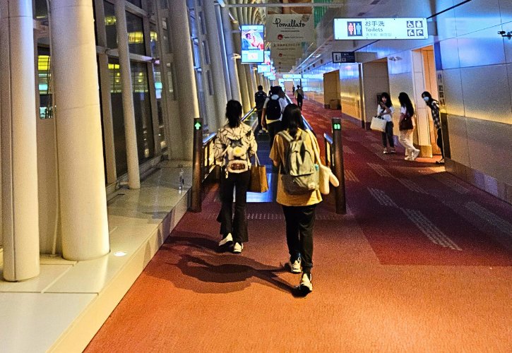 Things Tourists Must Know Before Visiting Japan