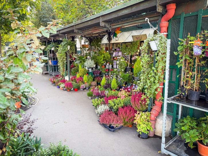 Marché aux Fleurs de Paris