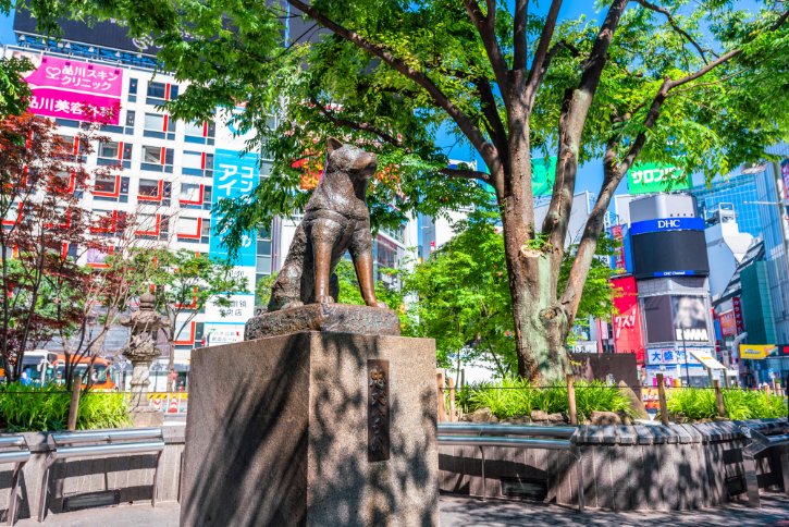 Hachiko Statue