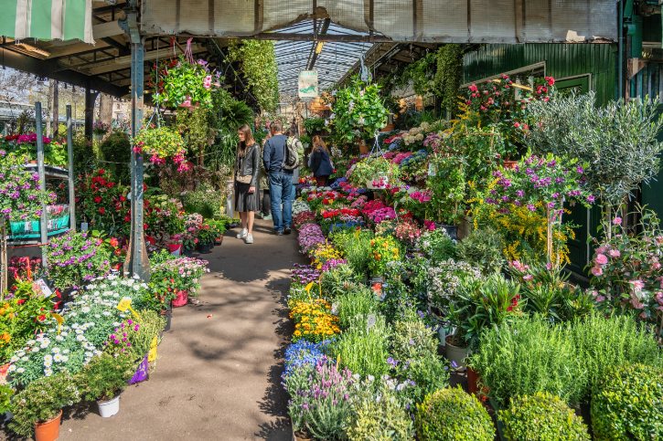 Marché aux Fleurs de Paris
