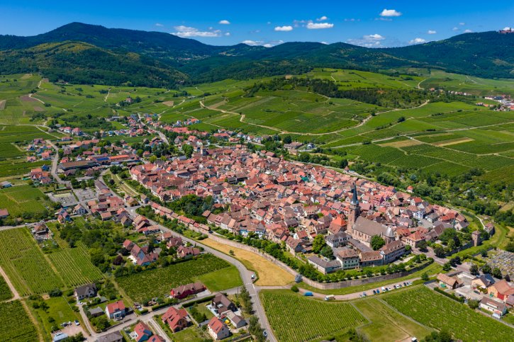 Bergheim