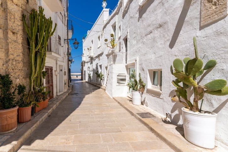 Monopoli